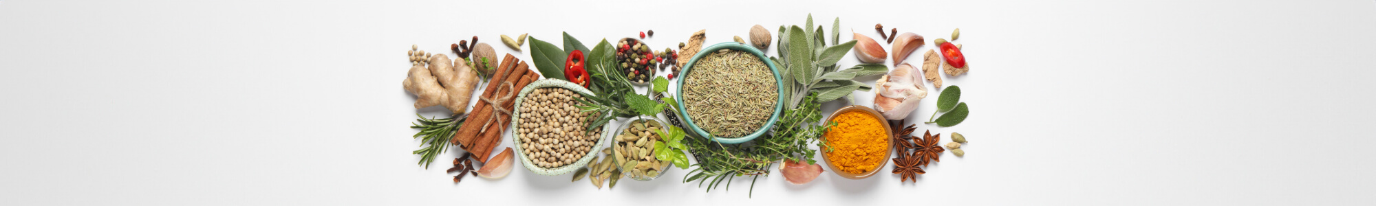Medicinal plants used in ksharasutra therapy: a review of their pharmacological roles in ano-rectal diseases